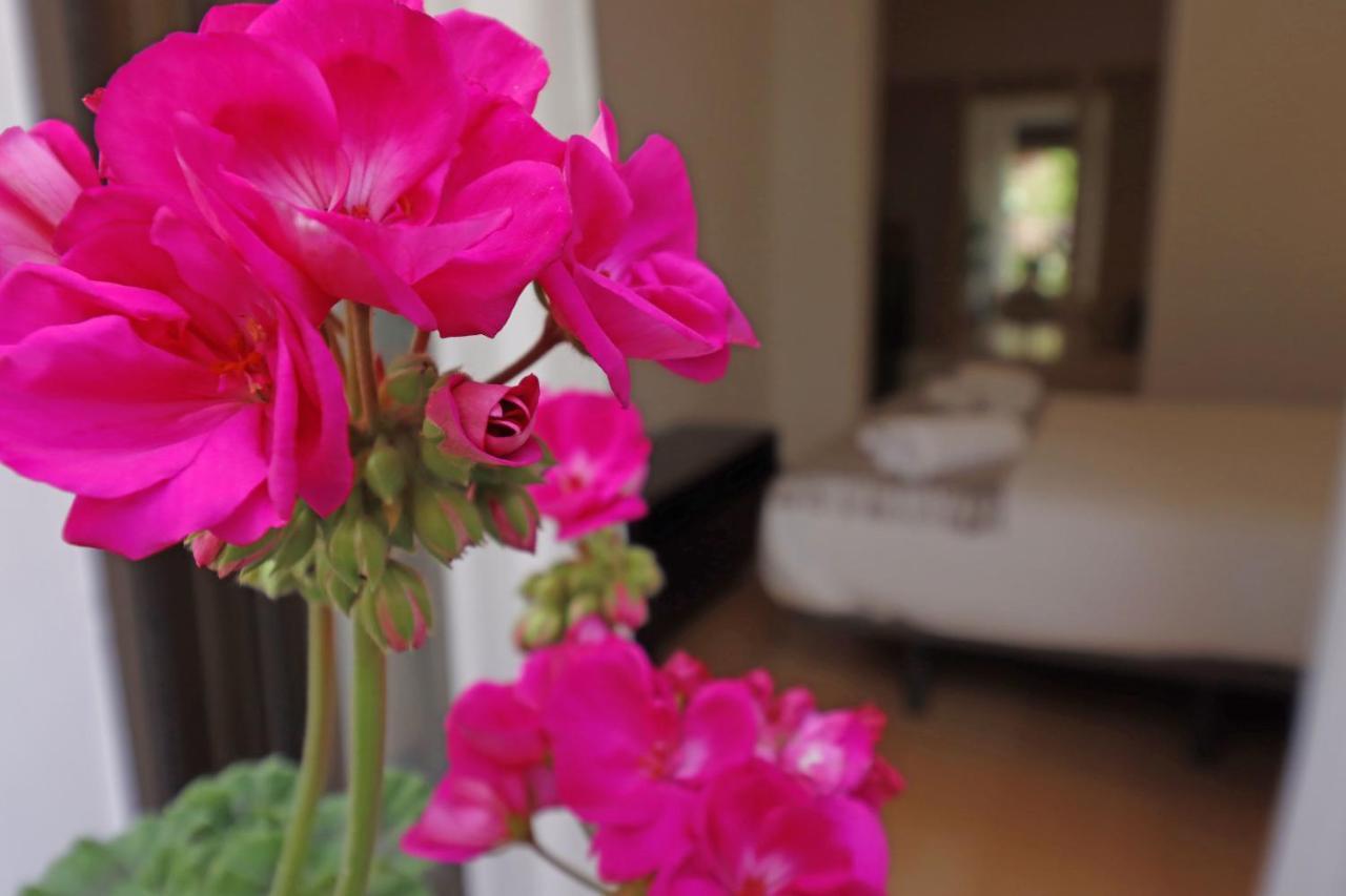 Chueca Jacuzzi Apartment